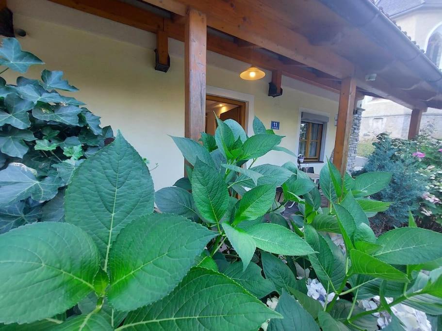 Ferienwohnung Gmeineckblick Spittal an der Drau Exteriér fotografie